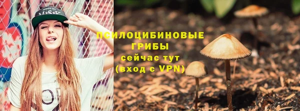 a pvp Богданович