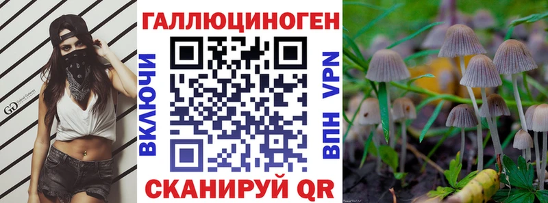 хочу   Жуковский  Галлюциногенные грибы Magic Shrooms 